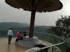 -铁山坪森林公园