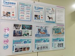 -北京观赏动物医院·24小时大型综合·猫专科·异宠专科