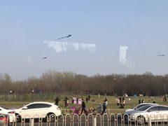 -塘沽森林公园