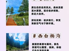 -新疆国际大巴扎