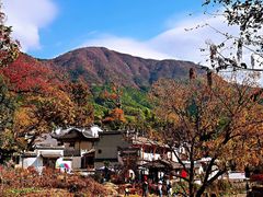 -塔川景区