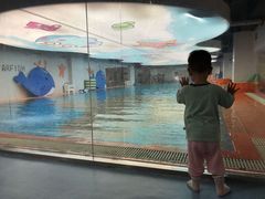 -蓝旗儿童游泳俱乐部(北国中心)