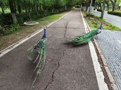 -武汉园博园(武汉自然博物馆)