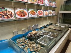 -陶然饺子城(奥体中路店)