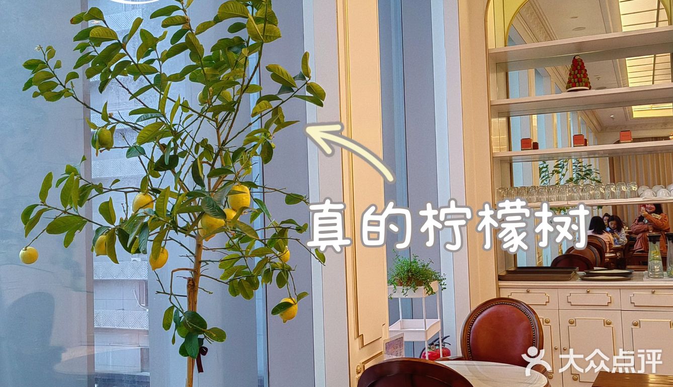 我的春日cruch｜IFS法式风情甜品下午茶
