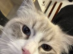 -老炮儿轰趴团建KTV桌游棋牌主题馆(五道口店（底商店))