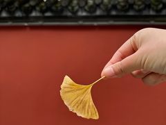 -成都杜甫草堂博物馆