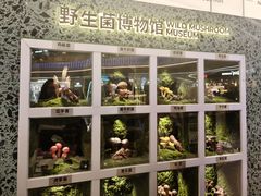 -芸山季·云南山珍菌火锅(南翔印象城MEGA店)