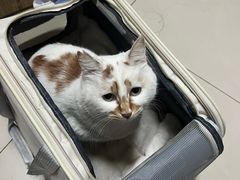 -艾贝尔宠物医院 ·中兽医·宠保定点(北门桥店)