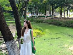 -长白岛森林公园