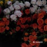 【杭州】运河&拱宸桥&小河直街