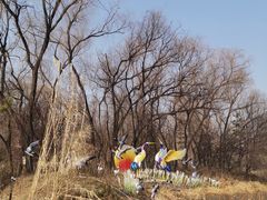 -洛阳市隋唐城遗址植物园
