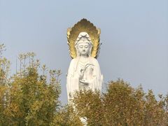 -白洋淀景区