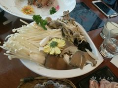 -石锅先生