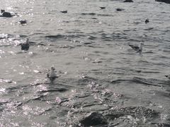 -银沙滩浴场
