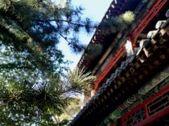 -潭柘寺景区