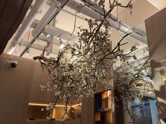 -梅花境(万科店)