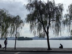 -楼外楼(西湖景区孤山路店)