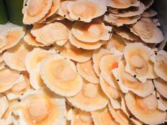-星伦多自助料理·涮烤一体(嘉兴八佰伴店)