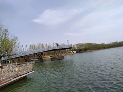 -大兴滨河森林公园
