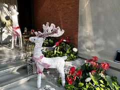 -浅深Cheersum(曹杨店)