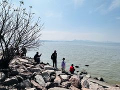 -深圳湾公园(南山区)