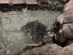 -杭州海底世界