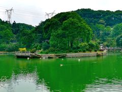 -广州市帽峰山景区