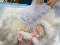 -美联众合动物医院·24h转诊中心