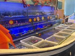 -喜碧海鲜·二十年本土海鲜老字号(上排店)