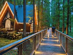 -黄海国家森林公园