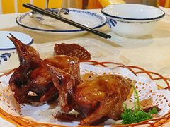 红烧乳鸽-一煲鸽