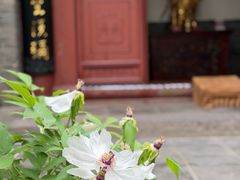 -罔极寺