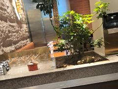 -宋小谨(惠安禹洲店)