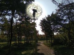 -南湖湿地公园
