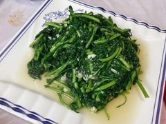 茼蒿-宾朋海鲜饭庄(兴海路店)