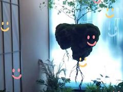 -宫七SPA·高端Massage(浦东大道店)