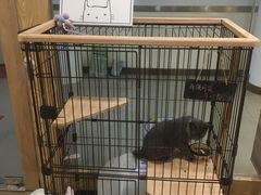 -iF摄影•全家福•证件照•形象照(南山店)