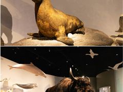 -中国湿地博物馆