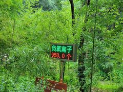 -同里国家湿地公园