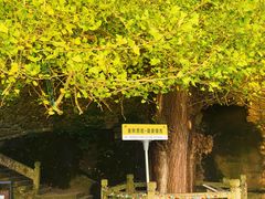 -大慈岩风景区