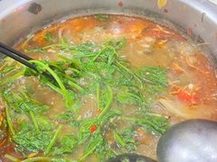 -大理.老字号渝记酸萝卜乌鱼(古城总店)