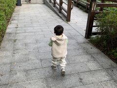 -大湾区中央湿地公园