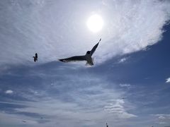 -青海湖二郎剑景区