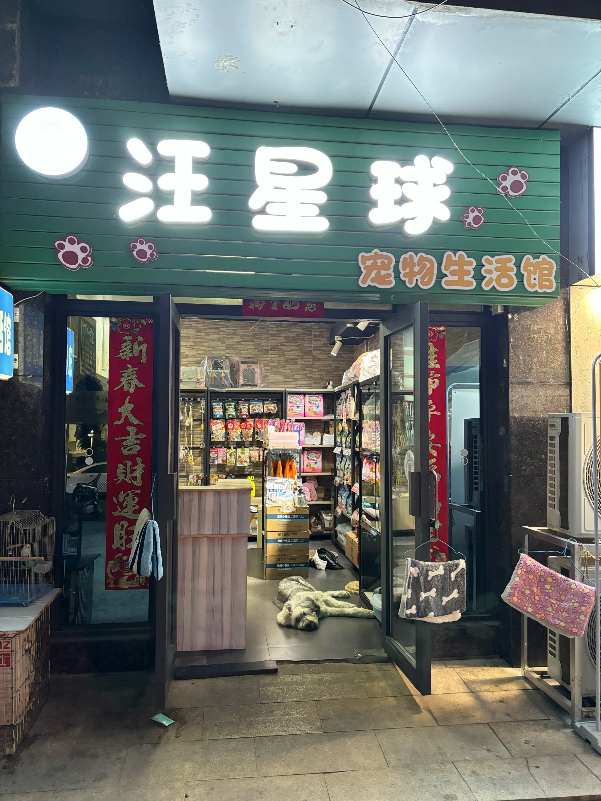 家楼下的宠物店