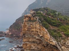 -杨梅坑