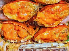 -粤凤佬