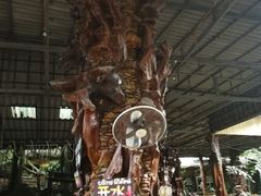 -绿光森林餐厅