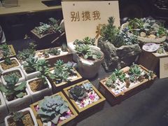 -403国际艺术中心