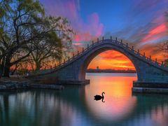 -龙湖星悦荟(颐和店)